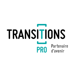 Logo Transitions Pro